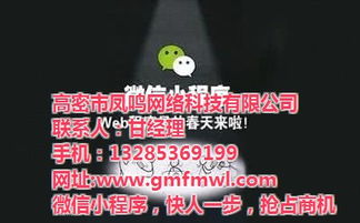 高密網(wǎng)絡公司專業(yè)推廣與鳳鳴網(wǎng)絡技術深度解析 高清視覺營銷賦能旅游開發(fā)項目策劃